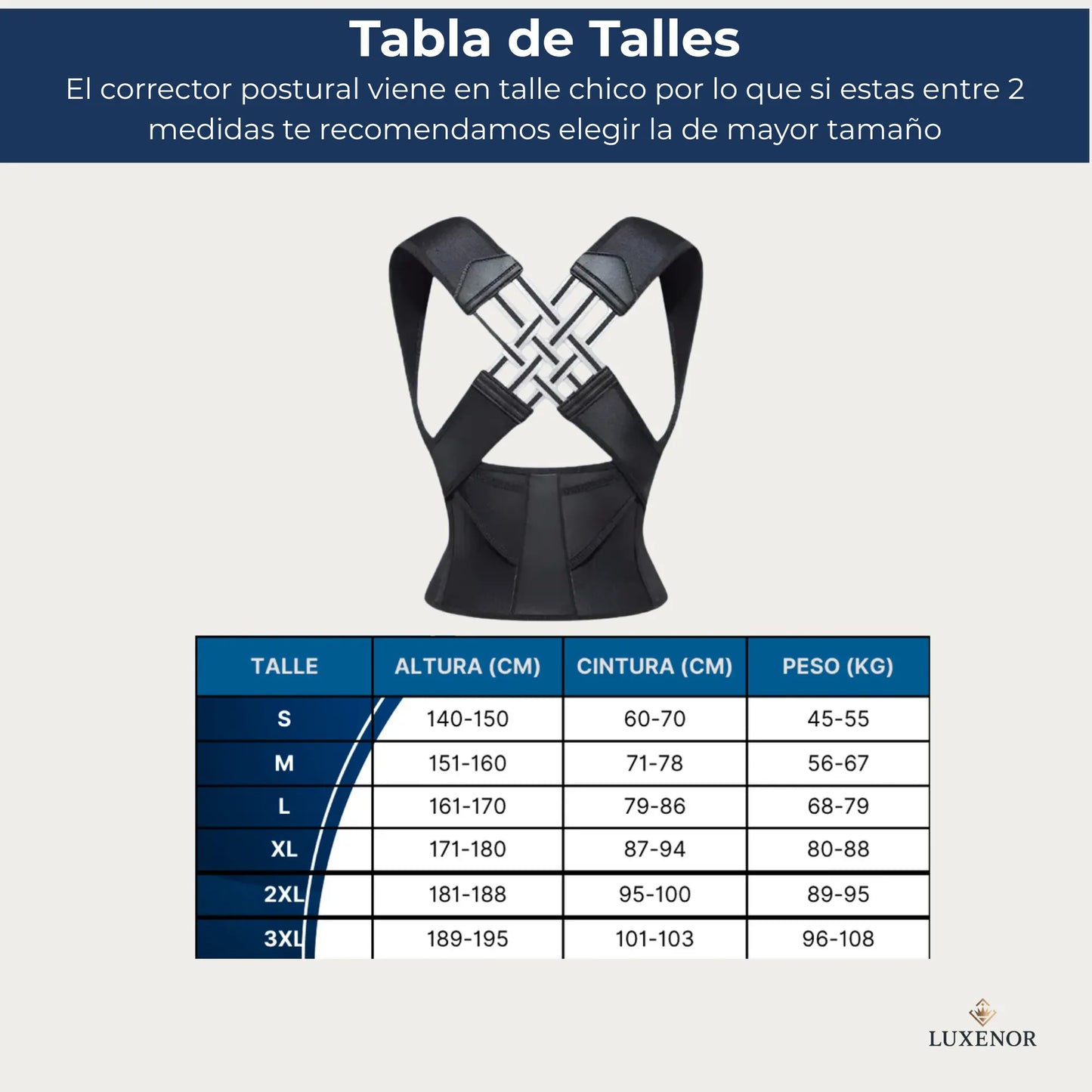 Sistema de Reeducación Postural ColumnaPro™
